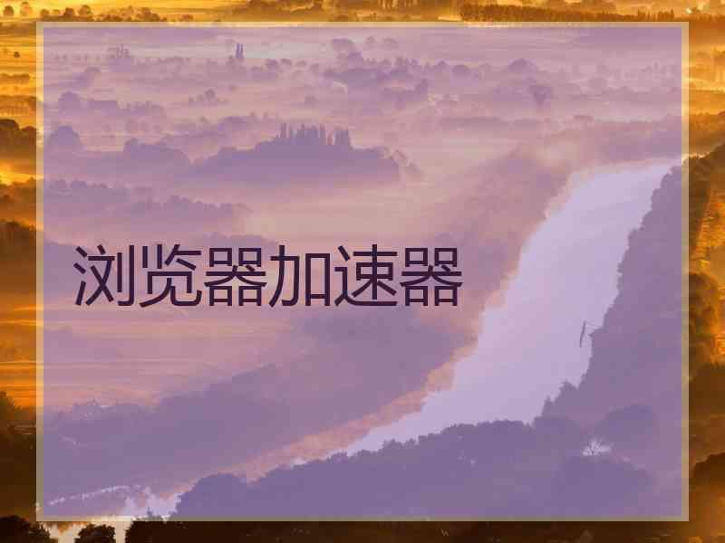 浏览器加速器
