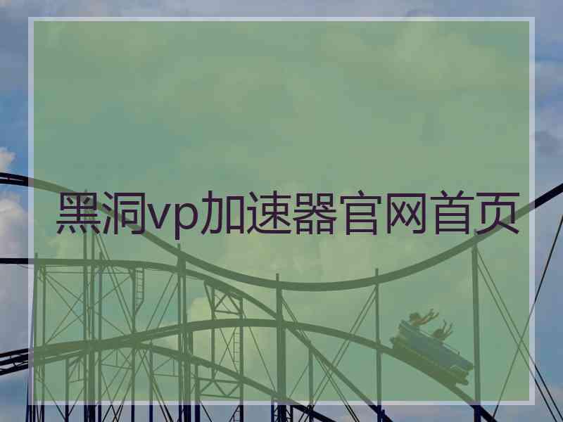 黑洞vp加速器官网首页