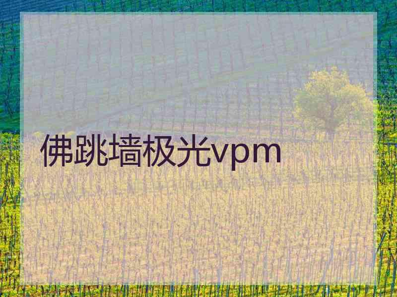 佛跳墙极光vpm