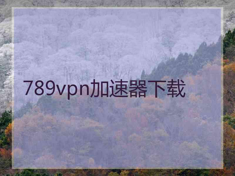 789vpn加速器下载