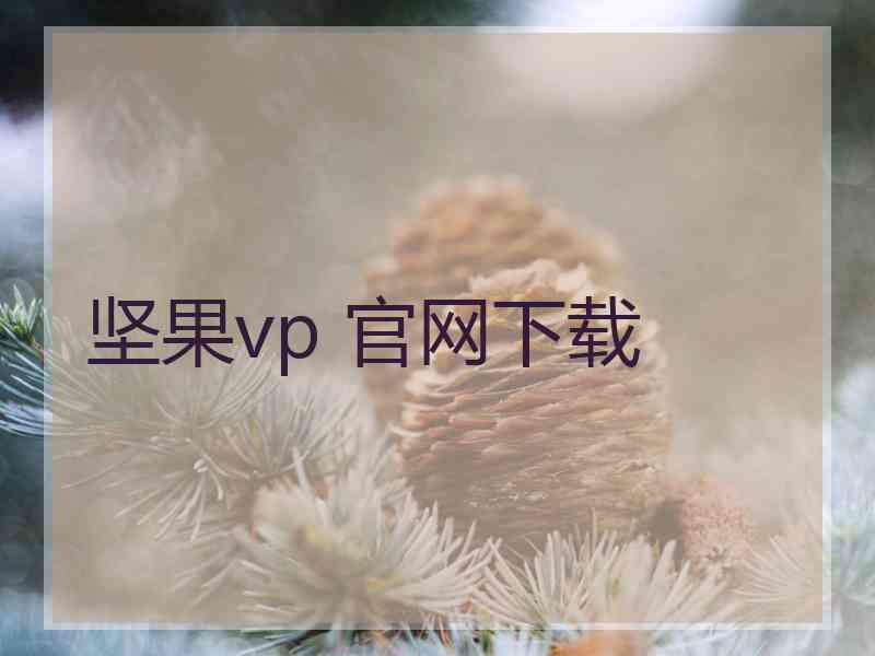 坚果vp 官网下载