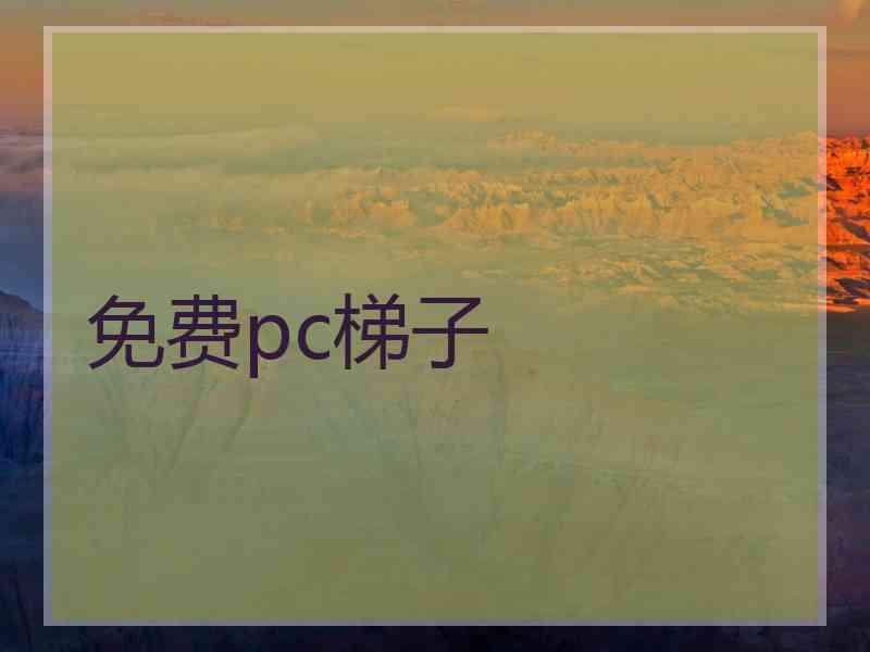 免费pc梯子