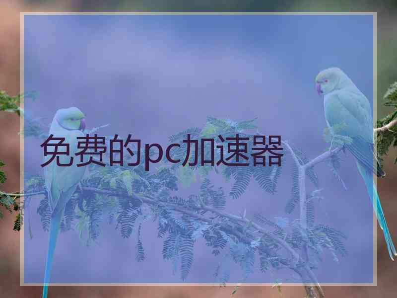 免费的pc加速器