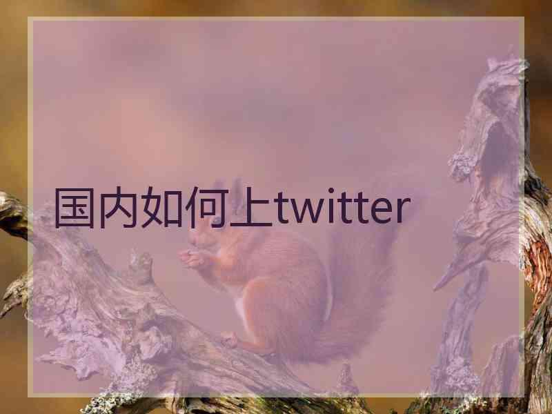 国内如何上twitter
