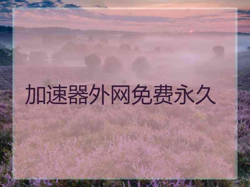 加速器外网免费永久