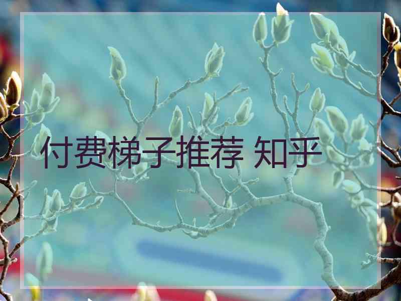 付费梯子推荐 知乎