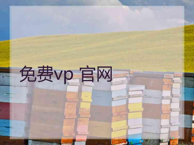 免费vp 官网