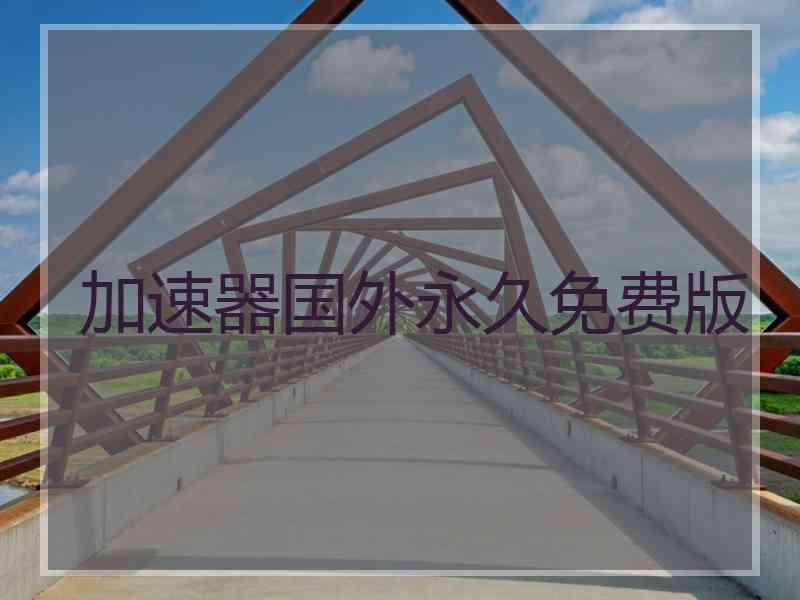加速器国外永久免费版