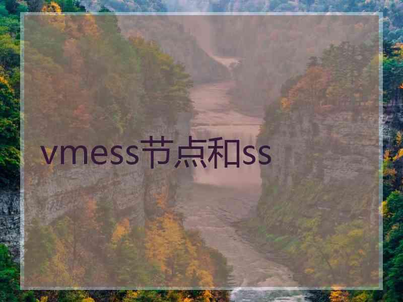 vmess节点和ss