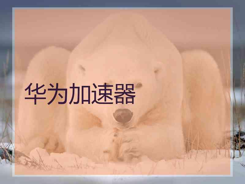 华为加速器