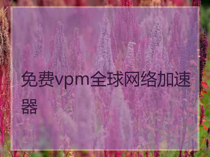 免费vpm全球网络加速器