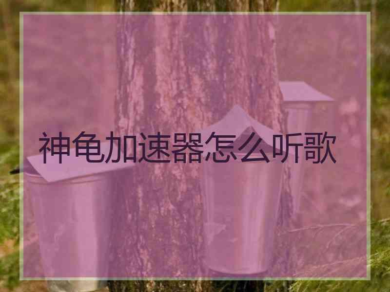 神龟加速器怎么听歌