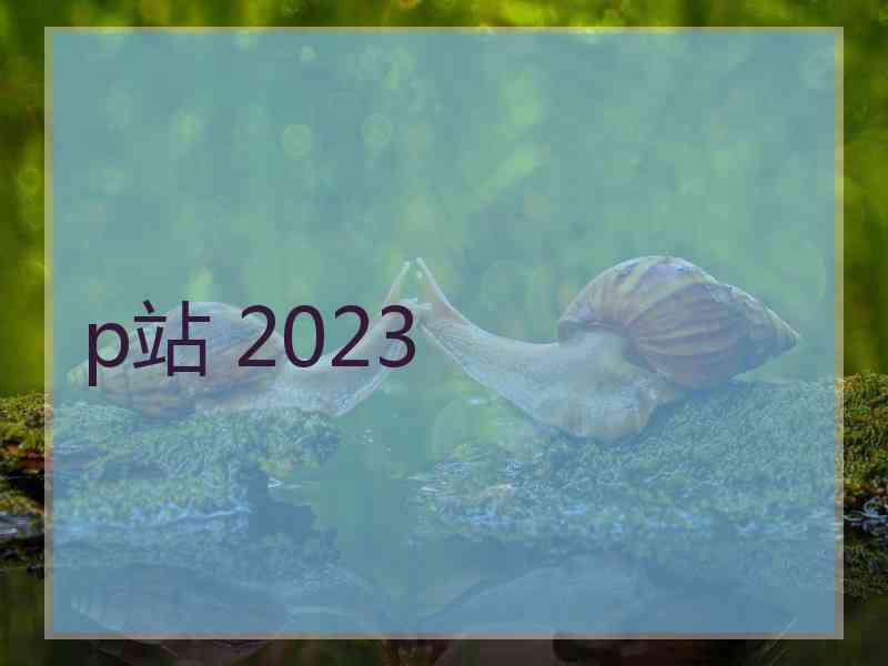 p站 2023