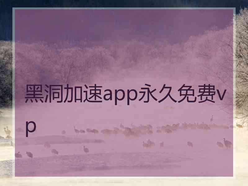 黑洞加速app永久免费vp