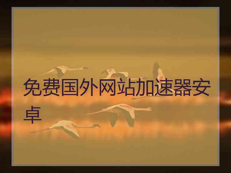 免费国外网站加速器安卓