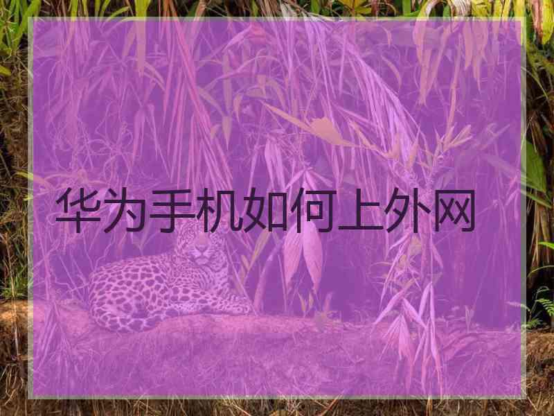 华为手机如何上外网