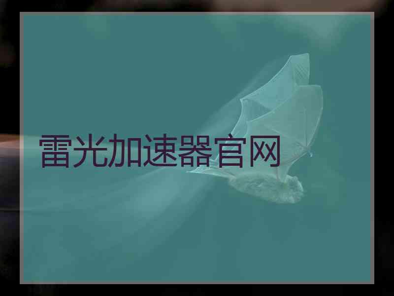 雷光加速器官网