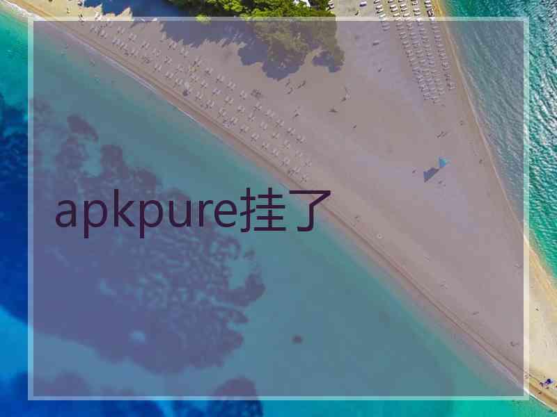 apkpure挂了