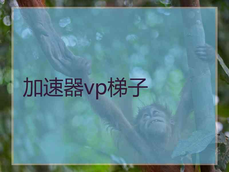 加速器vp梯子