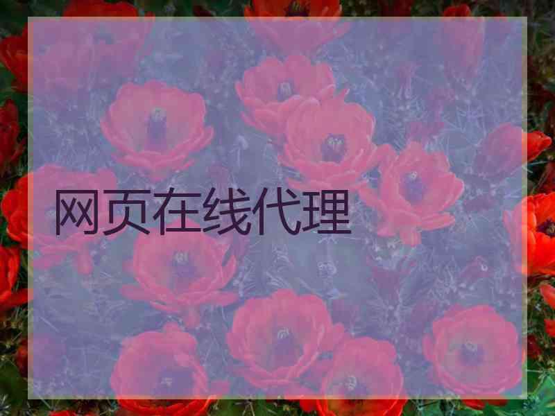 网页在线代理