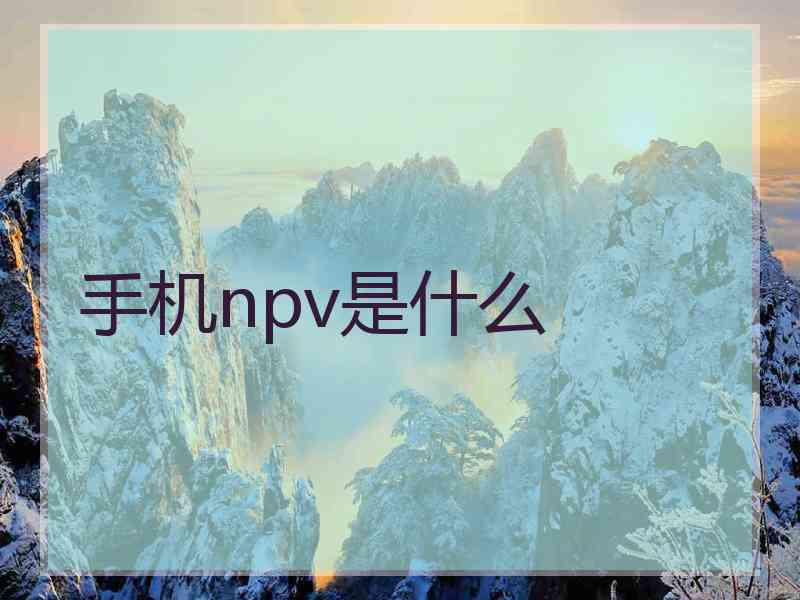 手机npv是什么