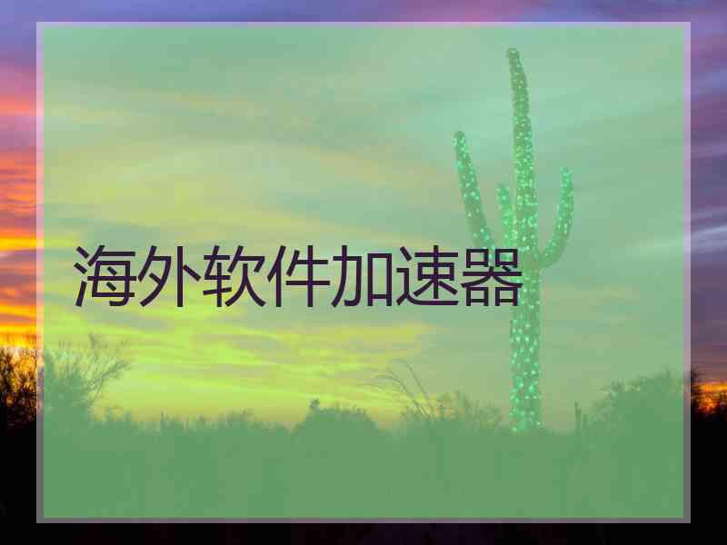 海外软件加速器