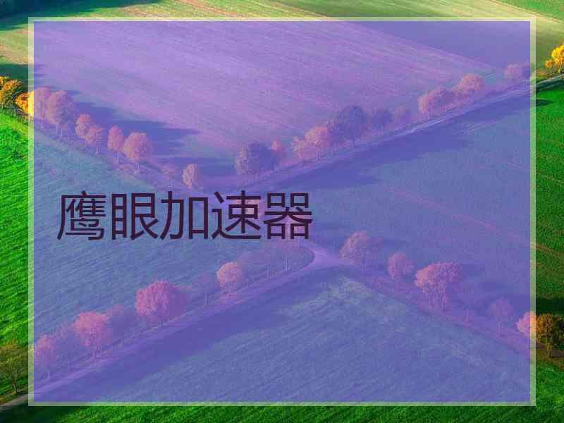 鹰眼加速器