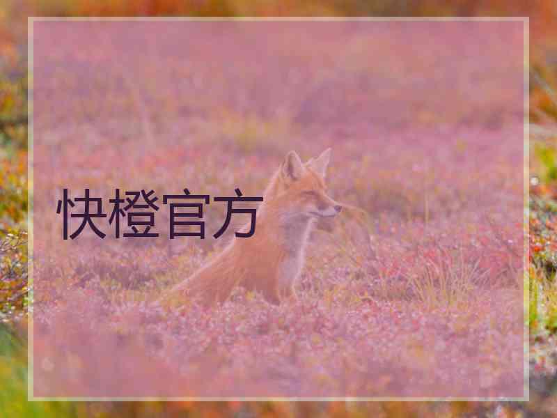 快橙官方