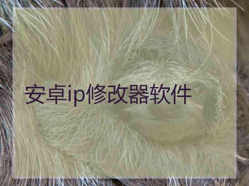安卓ip修改器软件