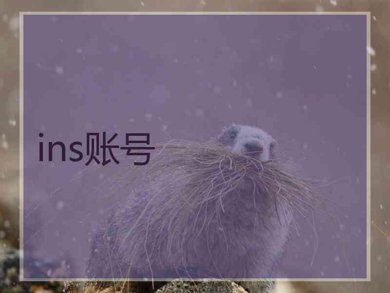 ins账号