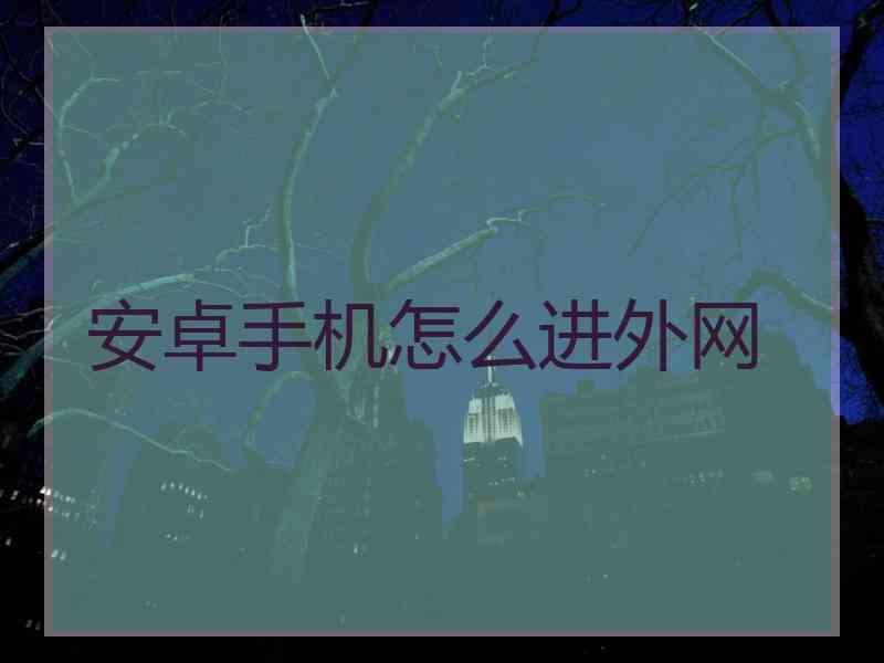 安卓手机怎么进外网