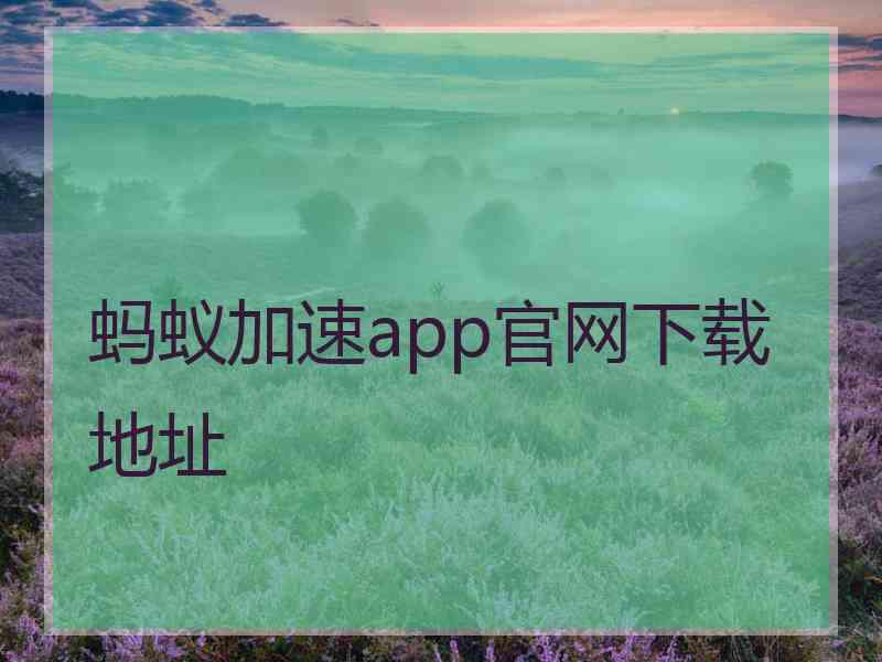 蚂蚁加速app官网下载地址