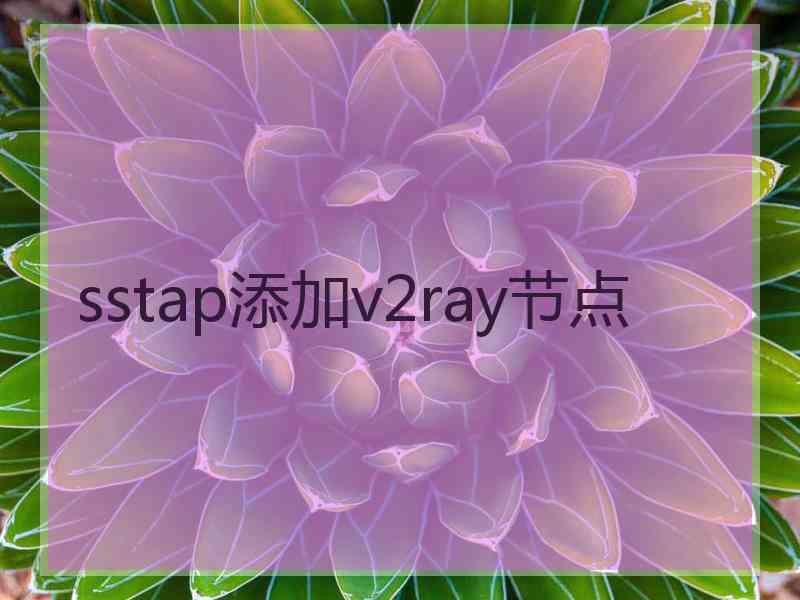 sstap添加v2ray节点