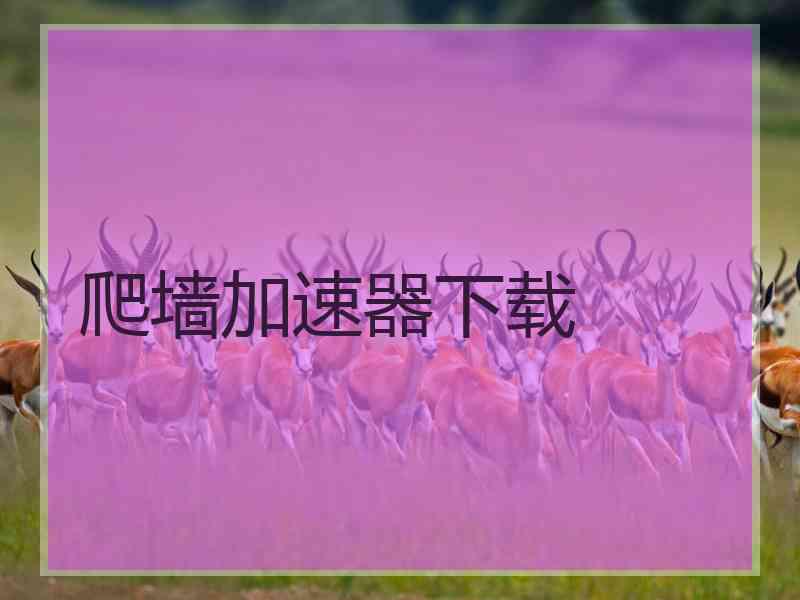 爬墙加速器下载