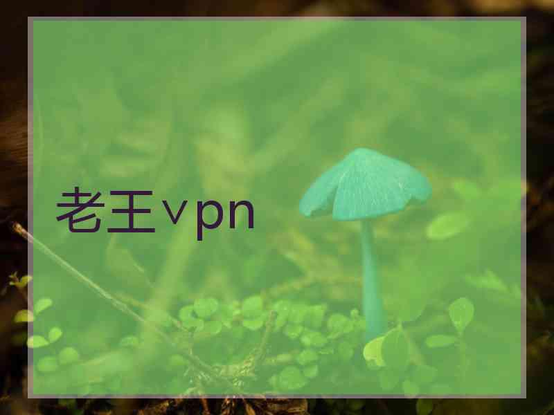 老王∨pn