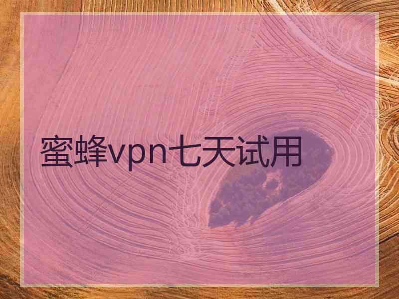 蜜蜂vpn七天试用