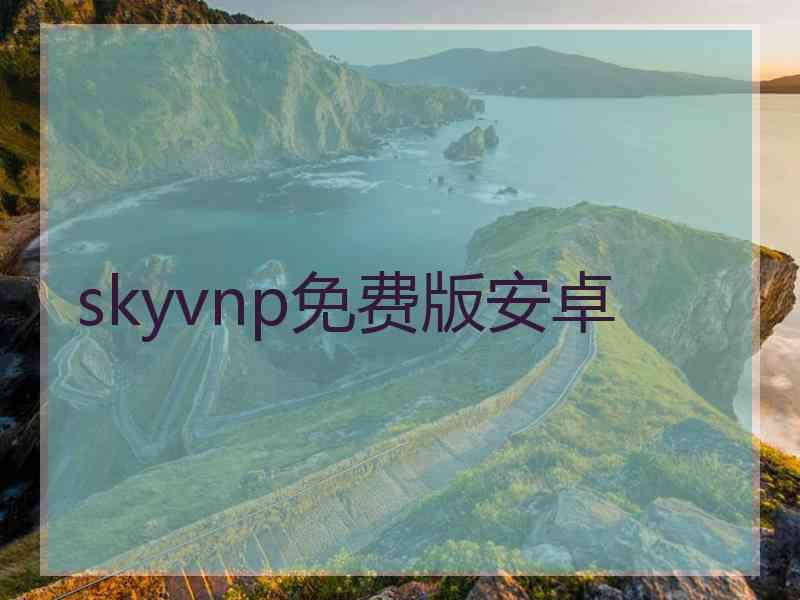 skyvnp免费版安卓