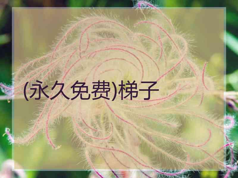 (永久免费)梯子