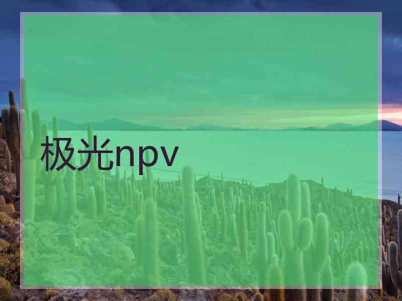 极光npv