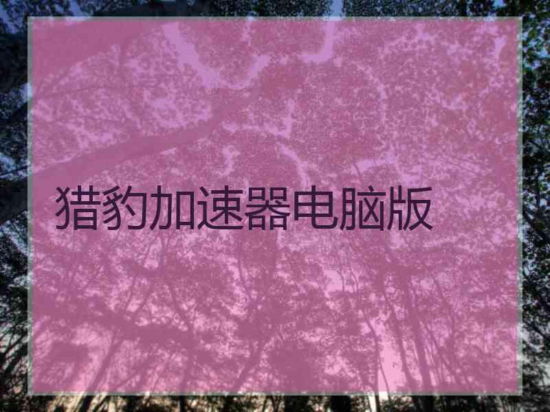 猎豹加速器电脑版