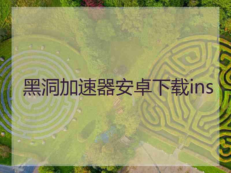 黑洞加速器安卓下载ins