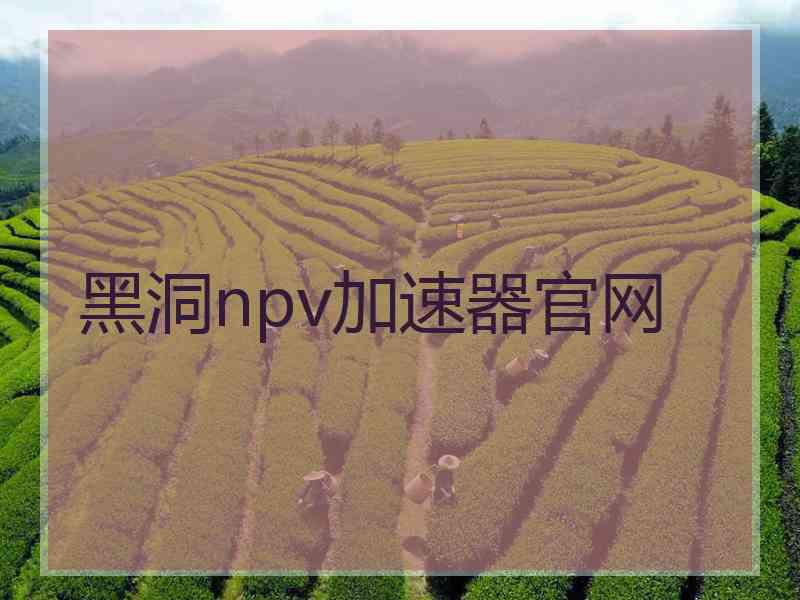 黑洞npv加速器官网