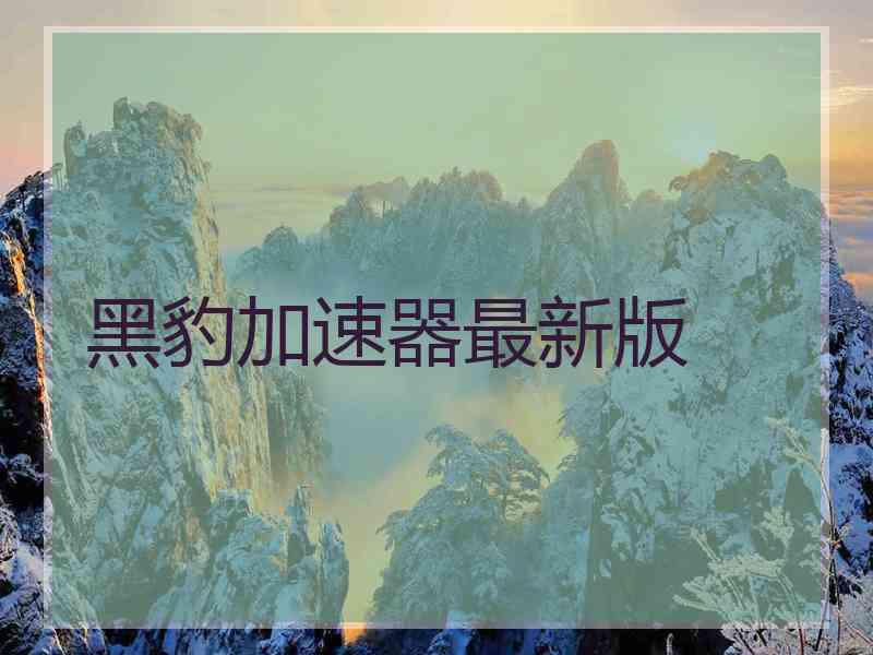 黑豹加速器最新版