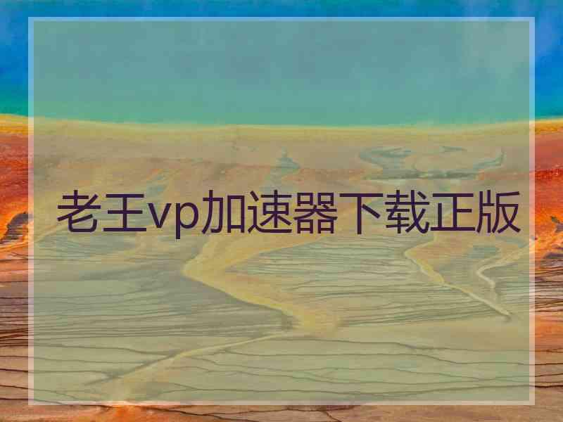 老王vp加速器下载正版
