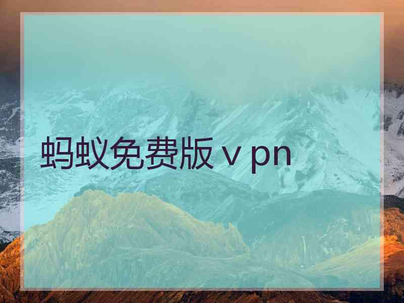 蚂蚁免费版ⅴpn
