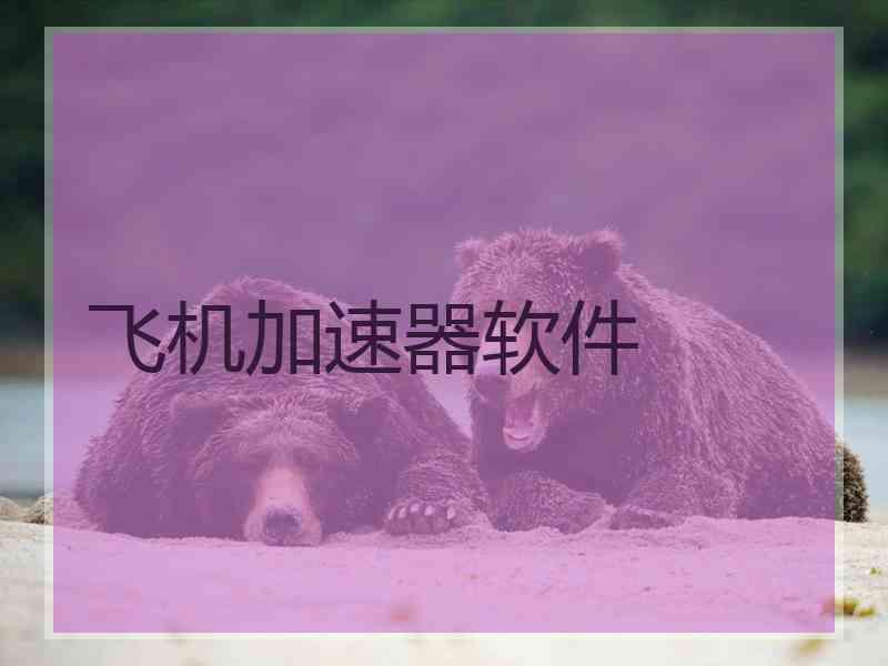 飞机加速器软件