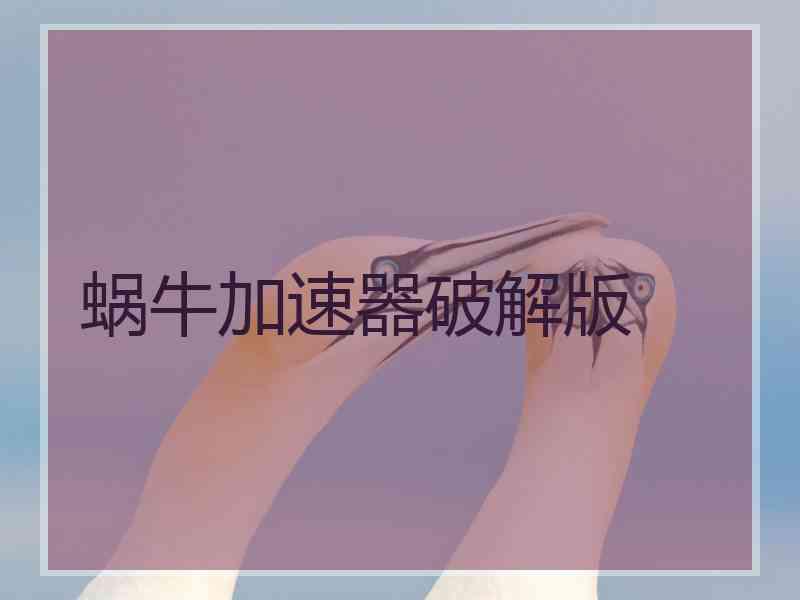 蜗牛加速器破解版