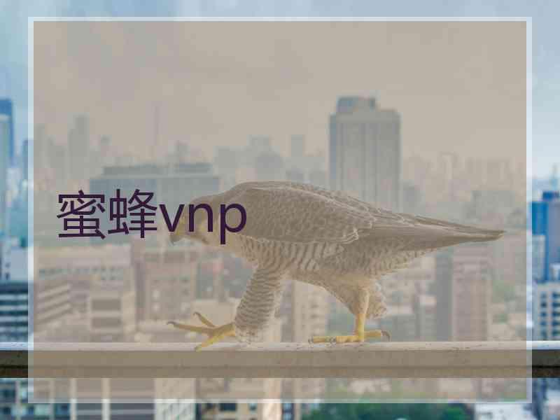 蜜蜂vnp