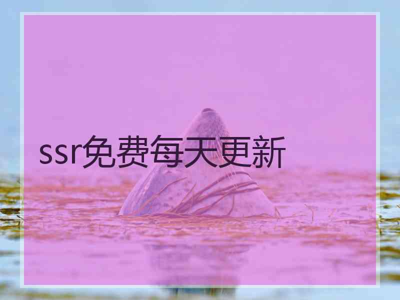 ssr免费每天更新