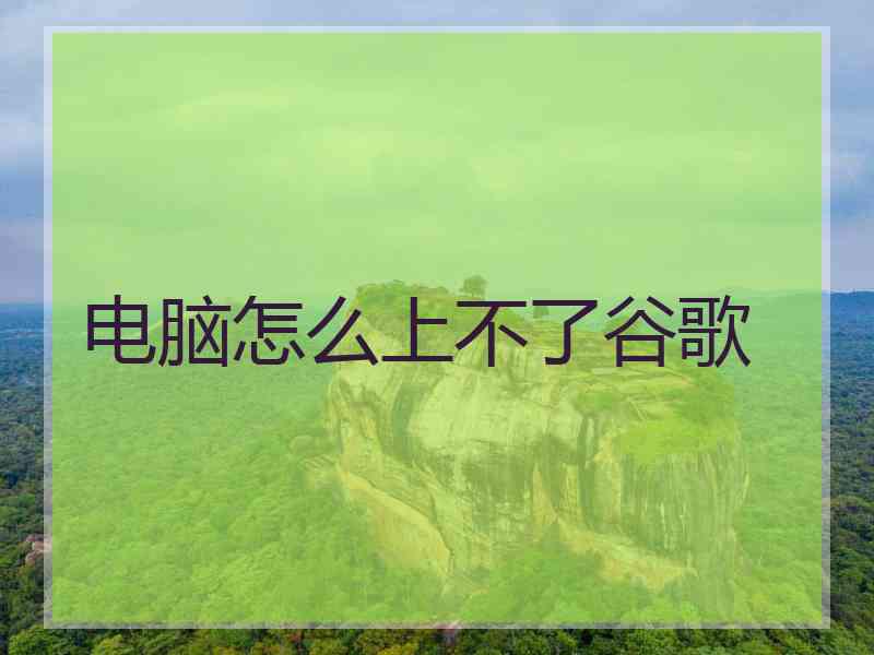 电脑怎么上不了谷歌